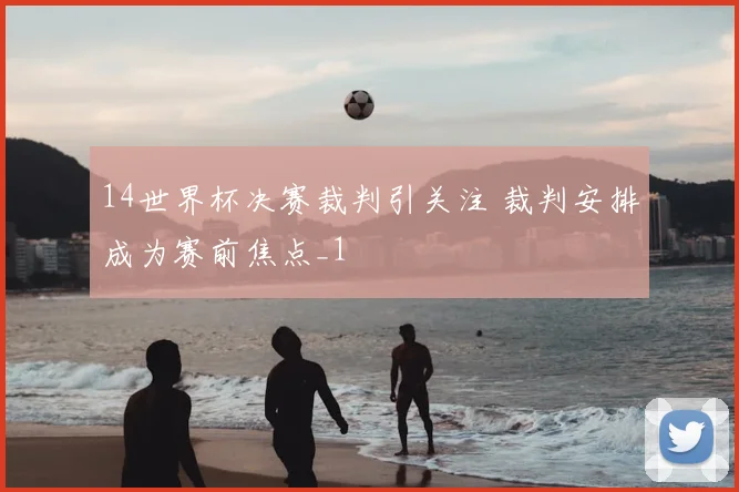 14世界杯决赛裁判引关注 裁判安排成为赛前焦点_1
