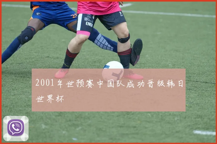 2001年世预赛中国队成功晋级韩日世界杯